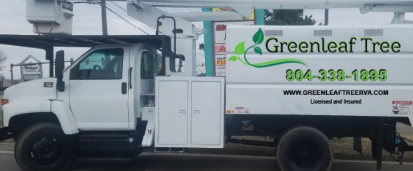 Company truck for our licensed tree specialists in Midlothian, VA.