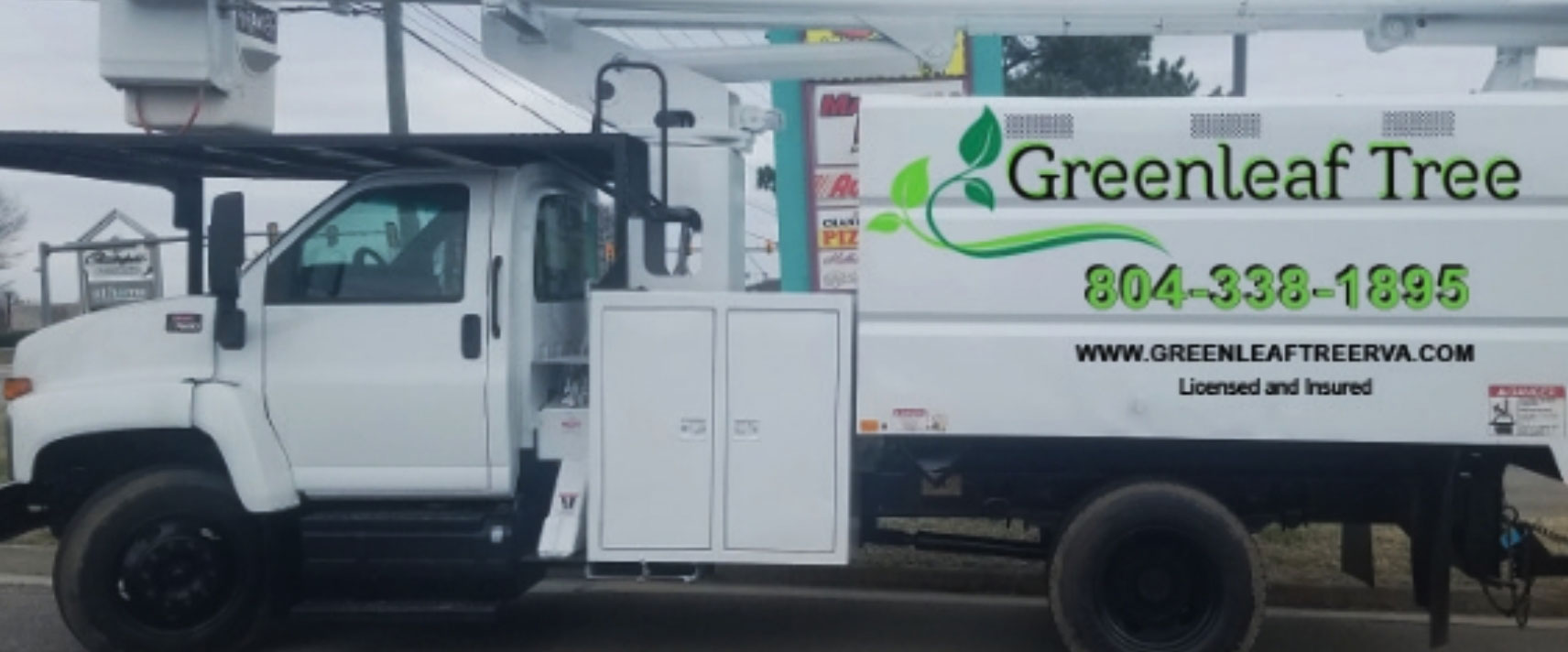 greenleaf tree service reviews